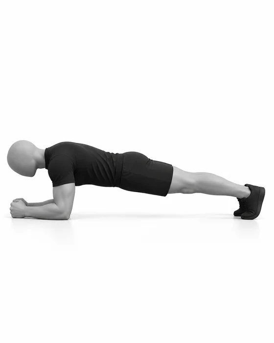 Forearm plank: holding a straight line on the forearms.